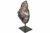Amethyst Geode Section on Metal Stand - Uruguay #171912-3